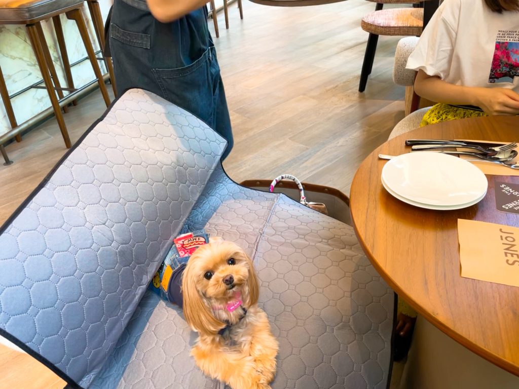 キンプトン新宿東京のカフェは犬連れランチやモーニングがリーズナブルな訳 マルプーが伝える犬の気持ち