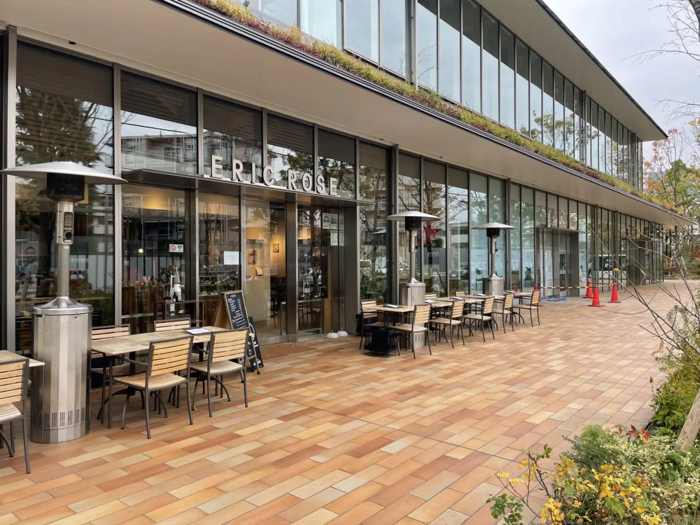 ラシーヌ青山の犬連れテラス席でランチやカフェが最高すぎる理由 マルプーが伝える犬の気持ち