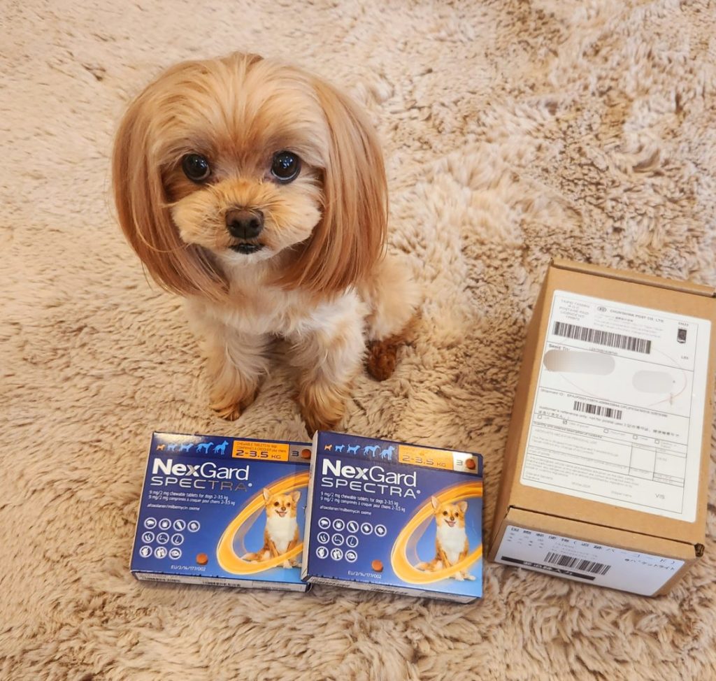 ネクスガードスペクトラ通販最安値2箱セール